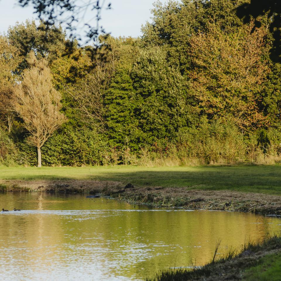 Natuurvriendelijke oever Waterschap Noordzijlvest